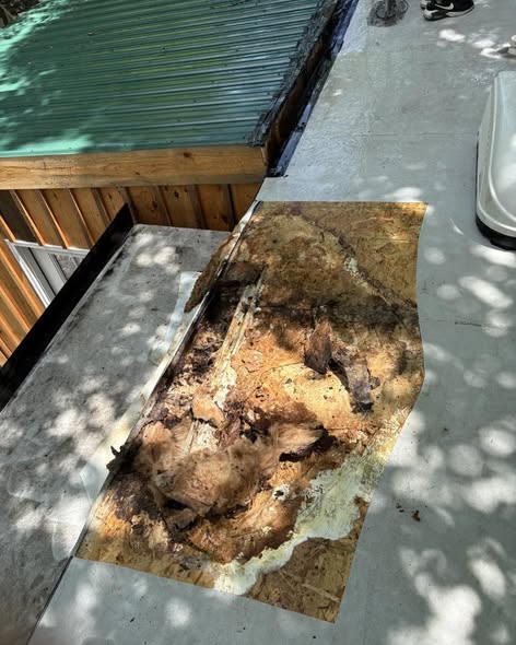 Severe RV roof water damage with rotted plywood and insulation exposed